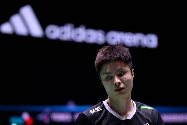 陶菲克究竟是不是華裔？深度解析其家族背景