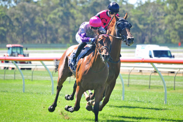 得分王之爭(zhēng)白熱化！虎撲網(wǎng)友預(yù)測(cè)本賽季最終歸屬