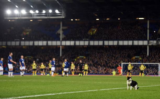 德甲上賽季積分榜全覽：歐戰(zhàn)席位與降級球隊一覽無余