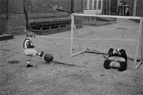 羅納爾多十大經(jīng)典外號，每一個都代表一段傳奇