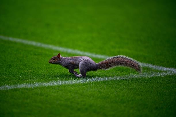 德甲保級(jí)大戰(zhàn)實(shí)時(shí)比分:誰將逃離降級(jí)區(qū)?