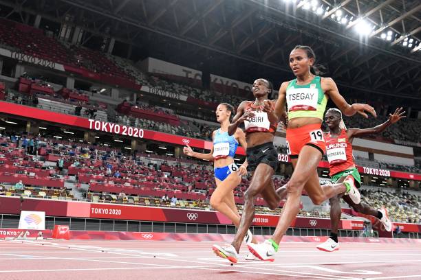 古希臘信使的壯舉:馬拉松典故的真相與傳說