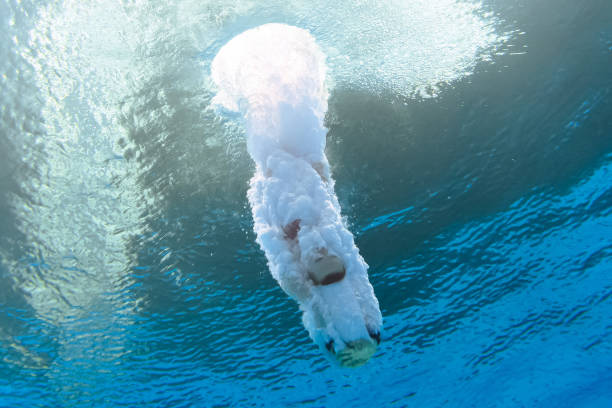 伏明霞的真實年齡曝光！網(wǎng)友：完全看不出來