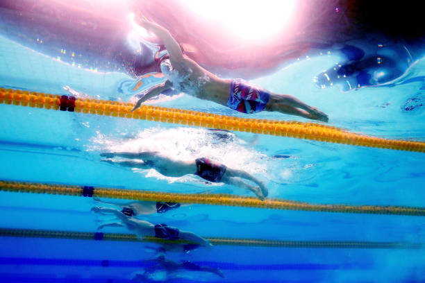 自由泳手的幾種常見劃水方式詳解