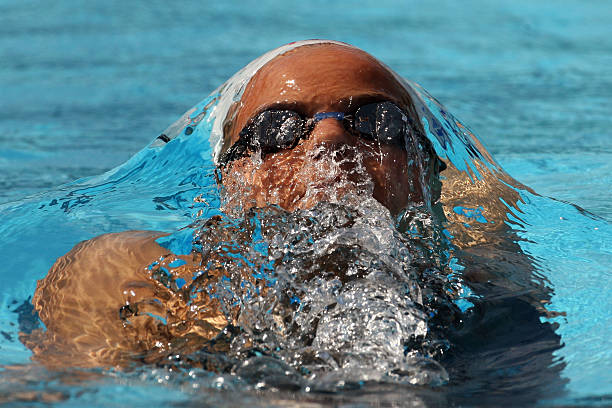 游泳賽事組織與參與總結(jié)