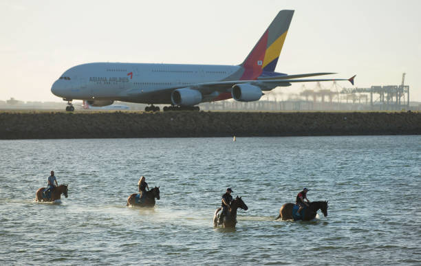 游泳裝備指南：從浮板到腳蹼，工具名稱一覽