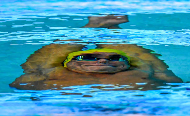 為什么U系列比賽對青少年游泳發(fā)展至關重要？