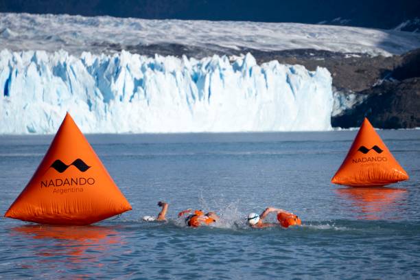 游泳拼音學(xué)習(xí)：從基礎(chǔ)到進(jìn)階