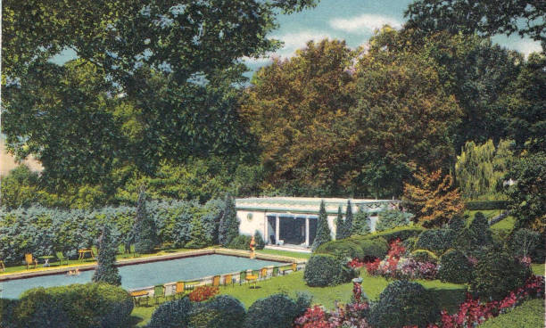 游泳教練證長(zhǎng)什么樣？費(fèi)用多少？一文解答所有疑問(wèn)