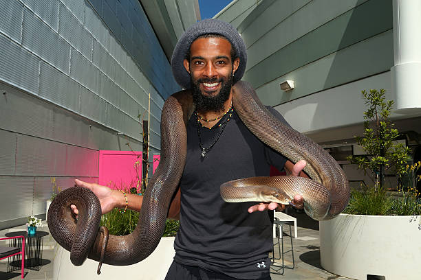 張之臻澳網(wǎng)之旅：中國男單新紀錄正在醞釀